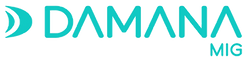Damana Insurance logo